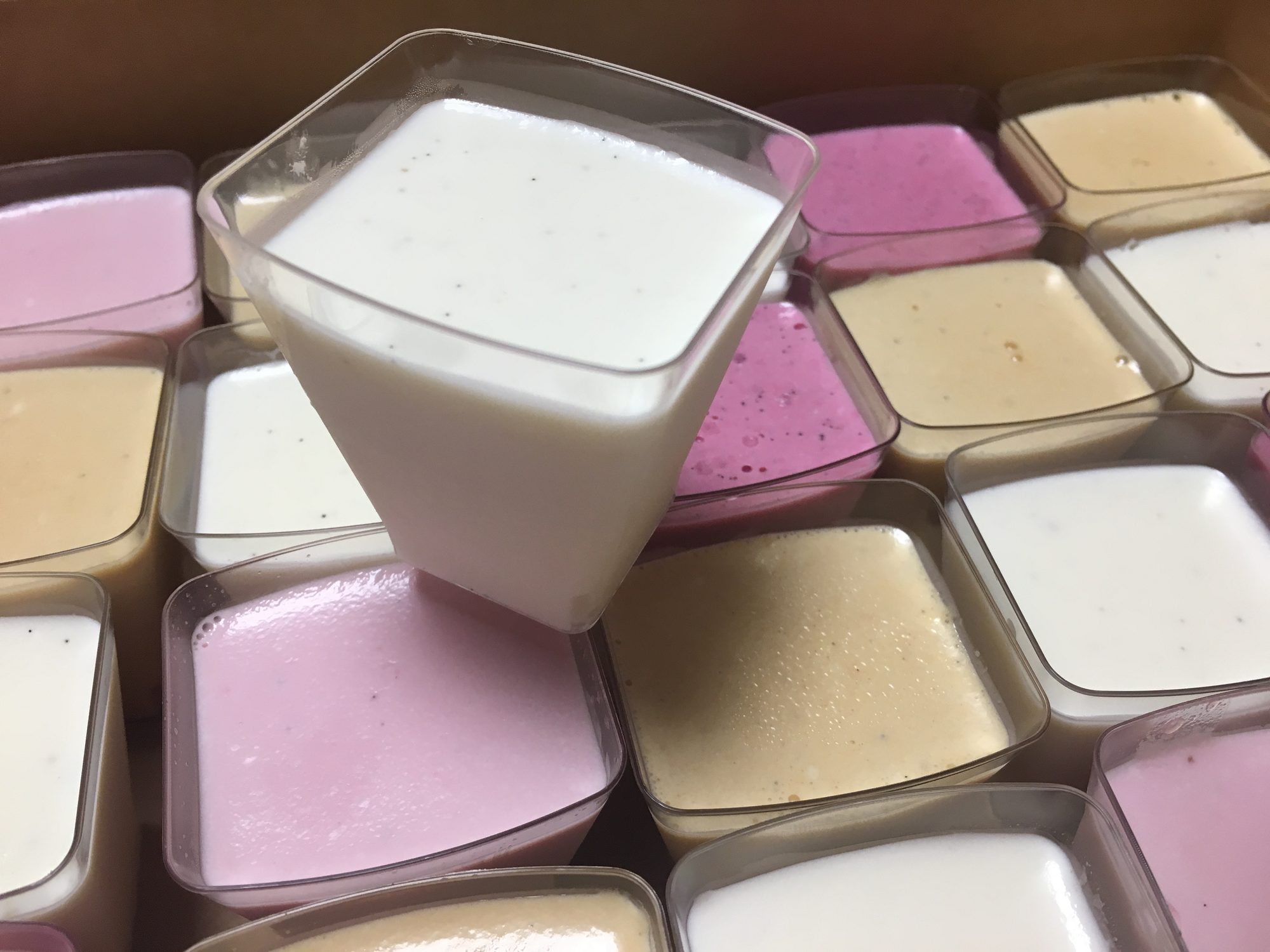 Panna cotta dessert cups